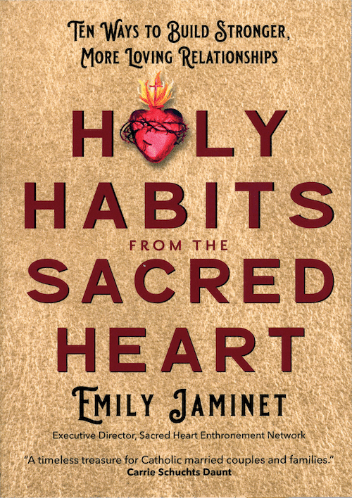 book - holy habits from the sacred heart