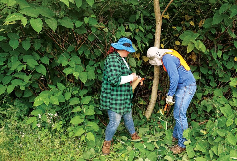Cutting-Edge Research in the Life Sciences | Franciscan Magazine